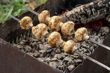 Barbecue skewers with grilled champignon mushroom in a brazierの写真素材