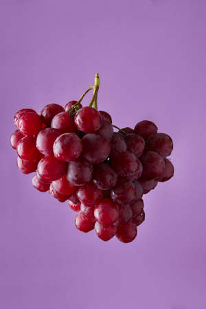 Red grape branch on violet backgroundの写真素材