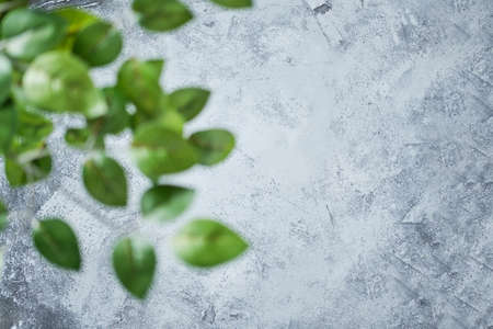 Abstract concrete background with blurred foreground green leaves. Blurred front and clear back.の写真素材