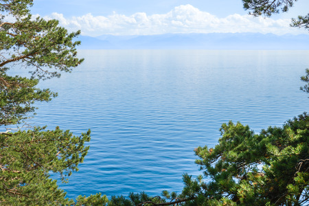 Baikal lake through the trees. Wather landscape with moderate mountains and light clouds on the horizon. Framed with green pine branches.の写真素材