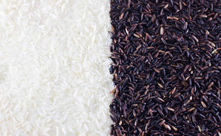 Closeup Thai jasmine rice and riceberry rice for backgroundの写真素材