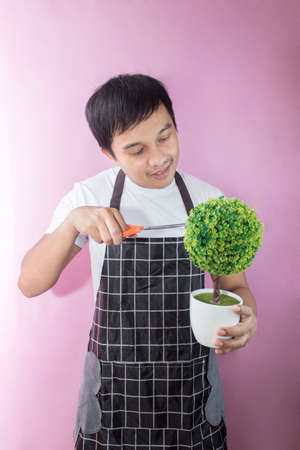Asian man decorating a potted plant with scissors
