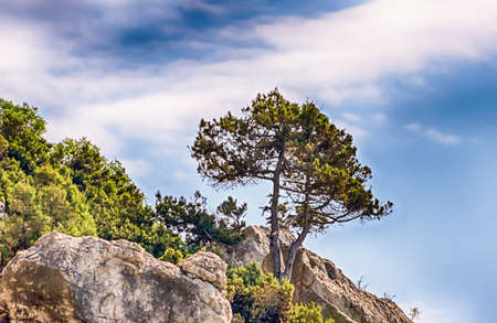 Cape Alchak landscape in Crimea, Ukraineの写真素材