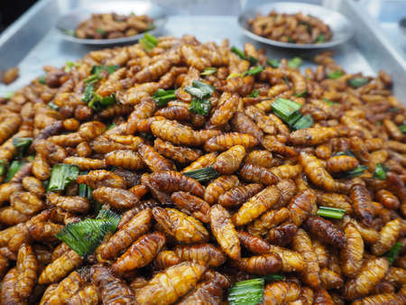 Fried bamboo worms in thai local marketの写真素材