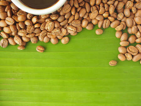 Frame of coffee beans on banana leafの写真素材
