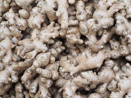 Fresh organic ginger on fresh market in thailandの写真素材