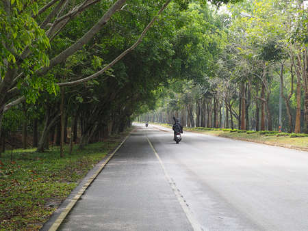 Motorcycle on Road with the treesの写真素材