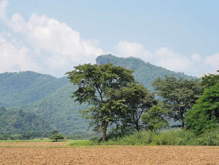Plowed land with trackの写真素材