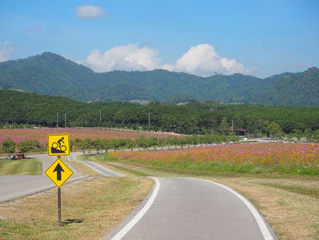 Bike lane in the parkの写真素材