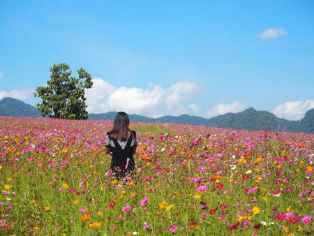 Asian woman and cosmos flowers