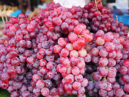 Fresh red grapes for sale in the local market of Thailandの写真素材