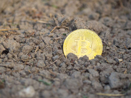 Golden Bitcoin on a soil for nature backgroundの写真素材