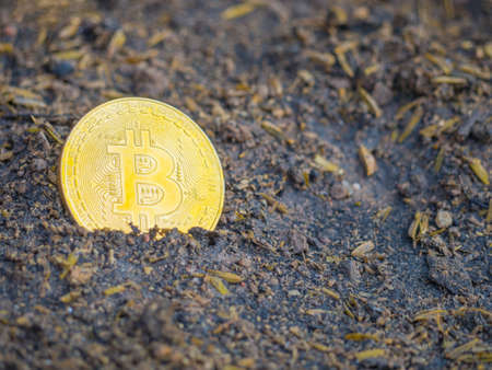 Golden Bitcoin on a soil. Bitcoin is a cryptocurrency and a digital payment system.の写真素材