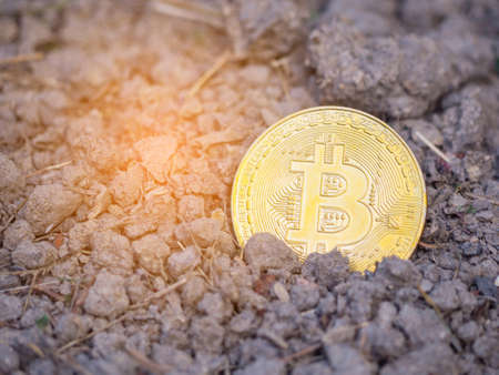 Golden Bitcoin on a soil. Bitcoin is a cryptocurrency and a digital payment system.の写真素材