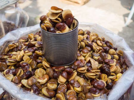Vicia faba or broad bean for sale in the market.の写真素材