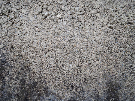 Old cement wall background.の写真素材