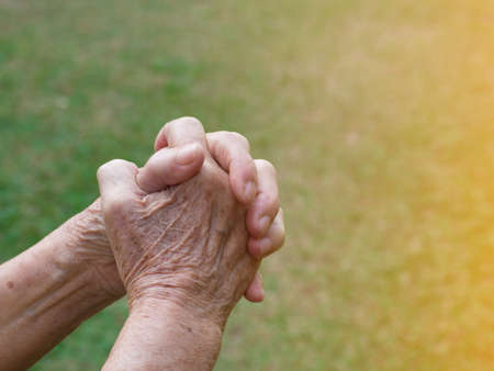 Closeup of an old woman's hands praying to god for power with sunlight at the garden.の写真素材
