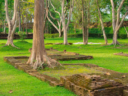 Scenery of Archaeological site in Thailandの写真素材
