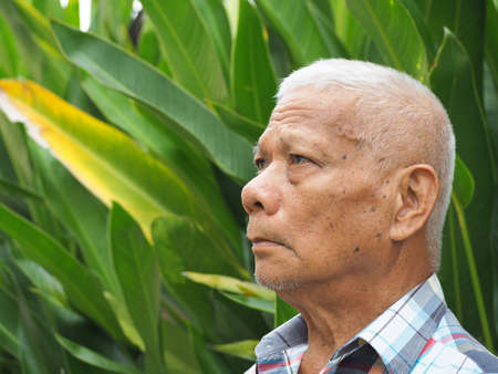 Portrait of elderly asian man in the garden