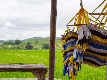 Colorful Hammock between bamboo table with rice field view. Relaxing time concept.の写真素材