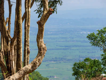 Scenic view landscape of mountains in northern thailand.の写真素材