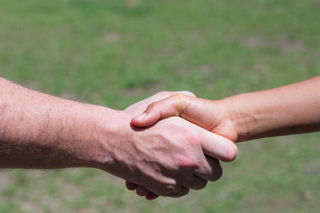 Close-up shot of man shaking hands with woman in the gardenの写真素材