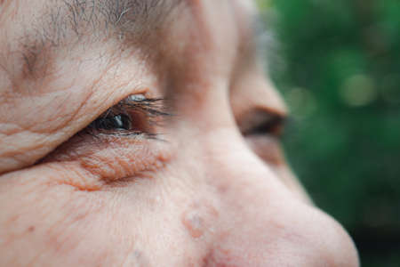 Close-up photo of a senior woman eyes. Selective focus. Concept of old people and body partの写真素材