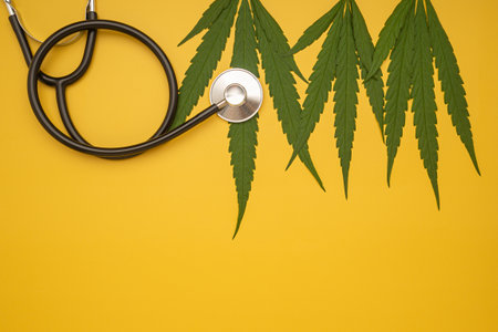 Top view of green cannabis leaves and a stethoscope laid isolated on yellow background. Alternative medicine. Growing organic cannabis herb on the farm. Marijuana plantation for medical concept.の写真素材