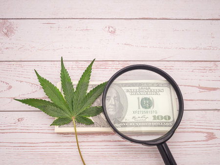 Top view of cannabis leaves and magnifying glass on dollar banknotes isolated on a wooden table with copy space for text. Alternative medicine, business, and legalization concept.の写真素材