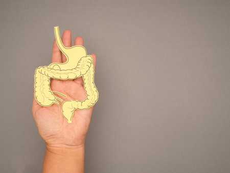 A large intestine shape made from yellow paper on a palm people on a gray background. Treatment and prevention of constipation and diarrhea. Intestinal microflora and probioticsの写真素材