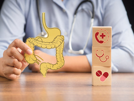 Doctor holding a large intestine made from paper and wooden cubes with health icons on a desk....