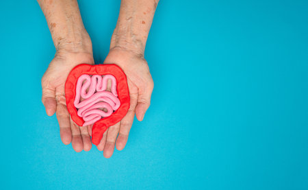 A large intestine shape made from plasticine on a palm senior woman over a blue background. Treatment and prevention of constipation and diarrhea. Intestinal microflora and probiotics. Space for textの写真素材