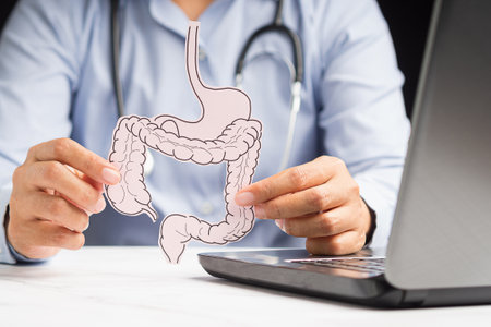 Doctor holding a large intestine shape made from pink paper. Treatment and prevention of constipation and diarrhea. Intestinal microflora and probiotics. Close-up photo. Healthcare conceptの写真素材