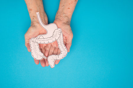 A large intestine shape made from paper on a palm senior woman on a light blue background. Treatment and prevention of constipation and diarrhea. Intestinal microflora and probiotics. Top viewの写真素材