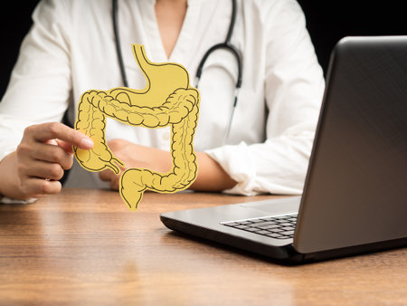 A doctor is holding a large intestine mockup while sitting in the hospital. Treatment and prevention...