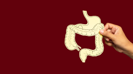 Hand holding a colon symbol against a red background. Treatment and prevention of constipation and diarrhea. Intestinal microflora and probiotics. Space for text. Close-up photoの写真素材