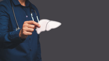 Doctor hand holding a liver shape symbol while standing on a gray background. Medical and healthcare concept. Close-up photoの写真素材