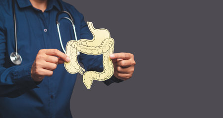 Hand of the doctor holding a colon symbol while standing on a gray background. Stomach pain causes gastric ulcers, appendicitis, or gastrointestinal system disease. Medical and healthcare conceptの写真素材