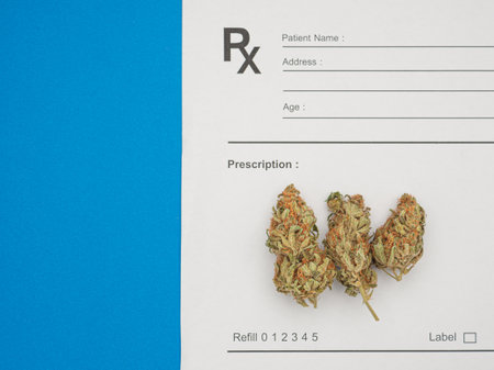 Dry marijuana buds flower over the medical prescription sheet on a blue background. Close-up photo. Concept of herbal, medical, healthcare, and businessの写真素材