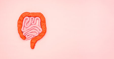 Healthy intestine concept. A intestine symbol over pink background. Treatment and prevention of...