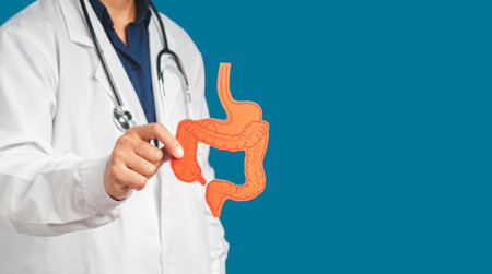 Hand of the doctor holding a colon symbol while standing on a blue background. Stomach pain causes gastric ulcers, appendicitis, or gastrointestinal system disease. Medical and healthcare conceptの写真素材