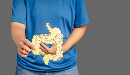Close-up of hands holding a colon symbol and touching stomach painful suffering from stomachache caused by a gastric ulcer, appendicitis, or gastrointestinal system diseaseの写真素材