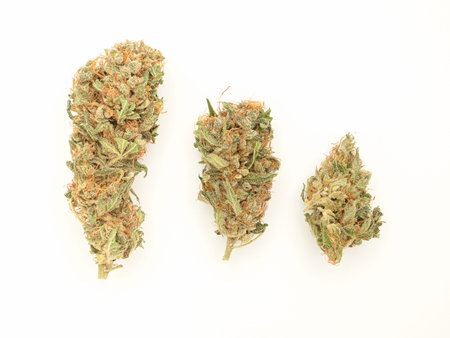 Dry cannabis buds flowers on a white background. Close-up of medical marijuana flower.の写真素材