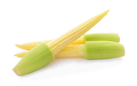young corn isolated on whiteの写真素材