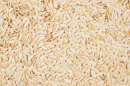 close up of cucumber seeds for backgroundの写真素材