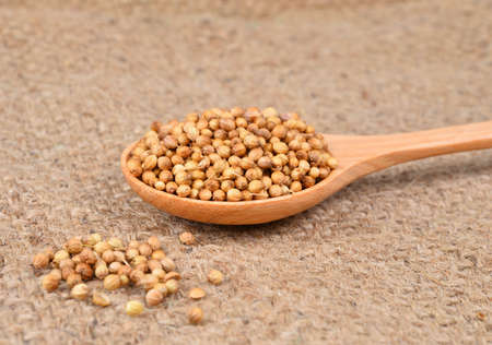 coriander seed in wooden spoon on hemp sack backgroundの写真素材