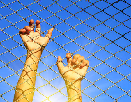two hand catching steel wire mesh fence,imprison to need freedomの写真素材