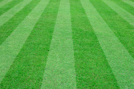 soccer field for backgroundの写真素材