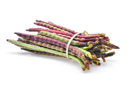 red beans pod,bush beans (phaseolus vulgarism) isolated on the white backgroundの写真素材