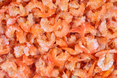 Dried shrimp for backgroundの写真素材